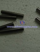 Tungsten rod DSC05339