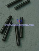 Tungsten rod DSC05340