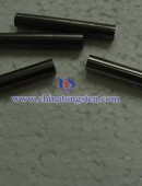 Tungsten rod DSC05344