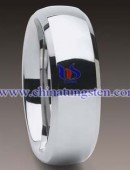 Tungsten Ring - 0030