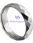 Tungsten Ring - 0040