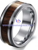 Tungsten Ring - 0053