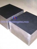 Tungsten Copper Block-0013