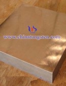 Tungsten Copper Block-0015