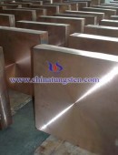 Tungsten Copper Block-0019