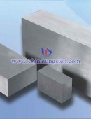 Tungsten Copper Block-0021