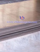 tungsten copper plate-0043