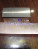 tungsten copper plate-0046