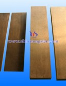 tungsten copper plate-0053