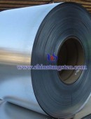 tungsten copper plate-0055