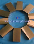 tungsten copper block-0052