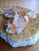 scheelite concentrate-0044