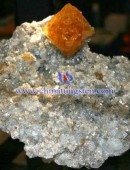 scheelite concentrate-0045