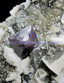 scheelite concentrate-0050