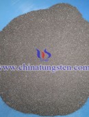 tungsten powder - 0036