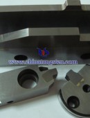 Tungsten Carbide Wear Parts-0005