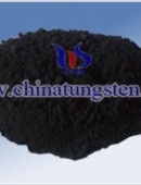 tungsten carbide powder - 0029