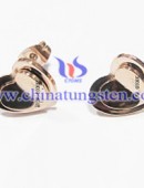 Tungsten Earring-0024