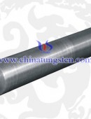Tungsten rod DSC05506