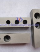 Tungsten Carbide Wear Parts-0021