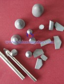 Tungsten Carbide Wear Parts-0024