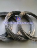 Tungsten wire --0049