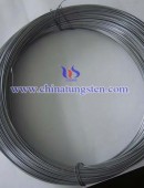 Tungsten wire --0050