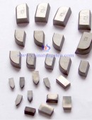 Tungsten Carbide Wear Parts-0029