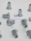 Tungsten Carbide Wear Parts-0031