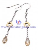 Tungsten steel earrings -0042