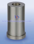 Tungsten Carbide Drawing Dies-0097