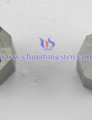 Tungsten Carbide Drawing Dies-0106