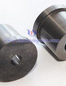 Tungsten Carbide Wear Parts-0040