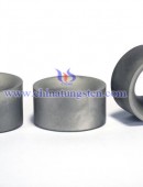 Tungsten Carbide Wear Parts-0044