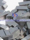 Tungsten Carbide Wear Parts-0047