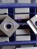 Tungsten Carbide Wear Parts-0048