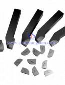 Tungsten Carbide Wear Parts-0052