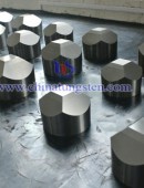 Tungsten Carbide Wear Parts-0057