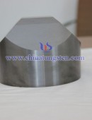 Tungsten Carbide Wear Parts-0071