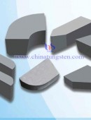 Tungsten Carbide Wear Parts-0080