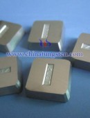 Tungsten Carbide Wear Parts-0083