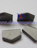 Tungsten Carbide Wear Parts-0084