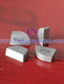 Tungsten Carbide Wear Parts-0086