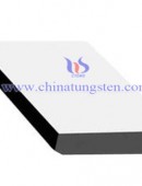 Tungsten Carbide Wear Parts-0089