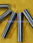 Tungsten Carbide Wear Parts-0097