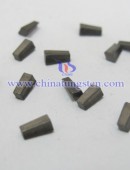 Tungsten Carbide Wear Parts-0106