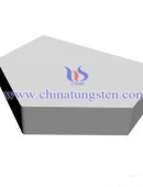 Tungsten Carbide Wear Parts-0090