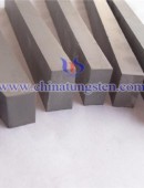 Tungsten Carbide Wear Parts-0117