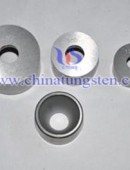 Tungsten Carbide Wear Parts-0134
