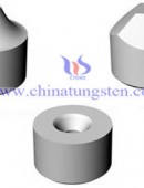 Tungsten Carbide Wear Parts-0137